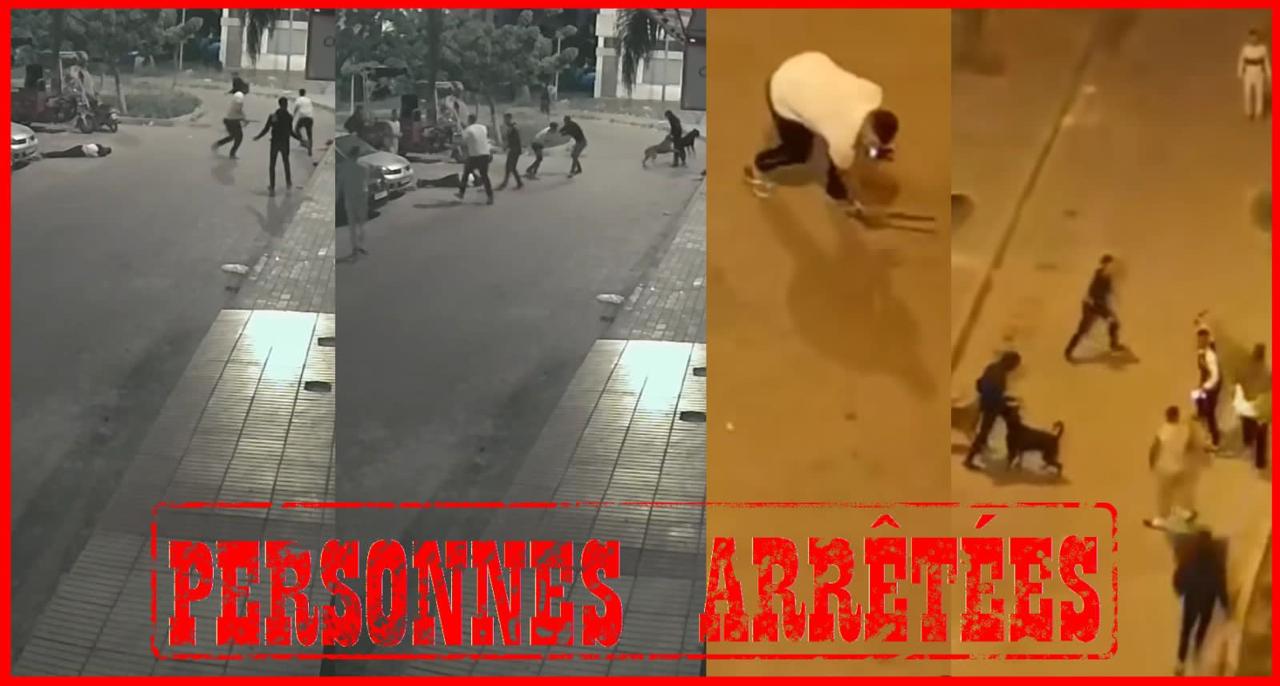 تفاعل أمن الجديدة مع شريط فيدو تم تداوله في مواقع التواصل الاجتماعي يظهر فيه اشخاص بحوزتهم اسلحة وكلاب