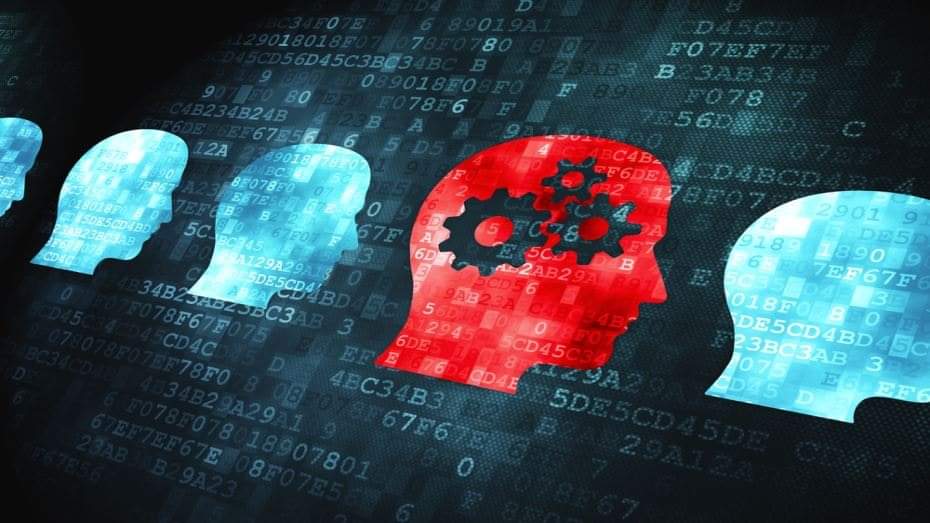 الإنسانيون والآريون يستثمرون في العقول والأغبياء يستثمرون في الحقد والكراهية والجهل