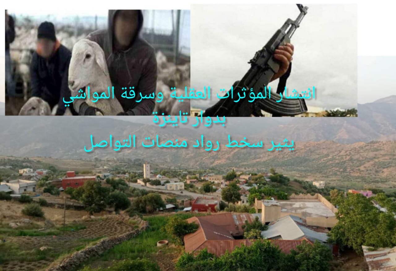 تاونات…بعد تدخل السلطات في حادث إطلاق الرصاص ساكنة دوار تاينزة تطالب بالتحقيق في جريمة سرقة المواشي