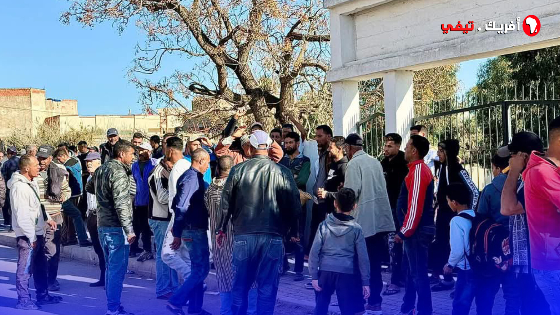معاناة فلاحو بني سنوس بعد قرار منع زراعة البطيخ الأحمر.